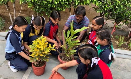 Gurusharan Convent School campus photo 6 of 6 — Paschim Vihar