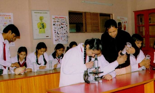 Saffron Public School campus photo 2 of 10 — Sector 37
