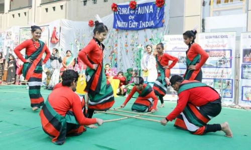 S.L.S DAV Public School campus photo 3 of 6 — Krishna Nagar