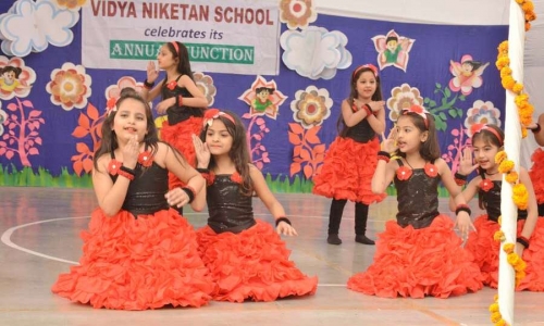 Vidya Niketan School campus photo 6 of 11 — New Industrial Township (NIT)