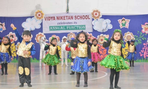 Vidya Niketan School campus photo 8 of 11 — New Industrial Township (NIT)