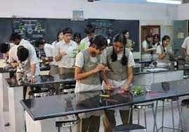 Jyothy Kendriya Vidyalaya campus photo 3 of 11 — Yelachenahalli