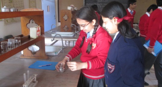 St. John School campus photo 2 of 4 — Jwala Nagar