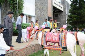 Sharad Pawar International School campus photo 6 of 7 — Nashik