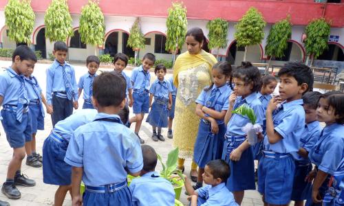 Jeevan Jyoti Senior Secondary School campus