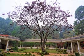 Rajghat Besant School campus photo 2 of 6 — Varanasi