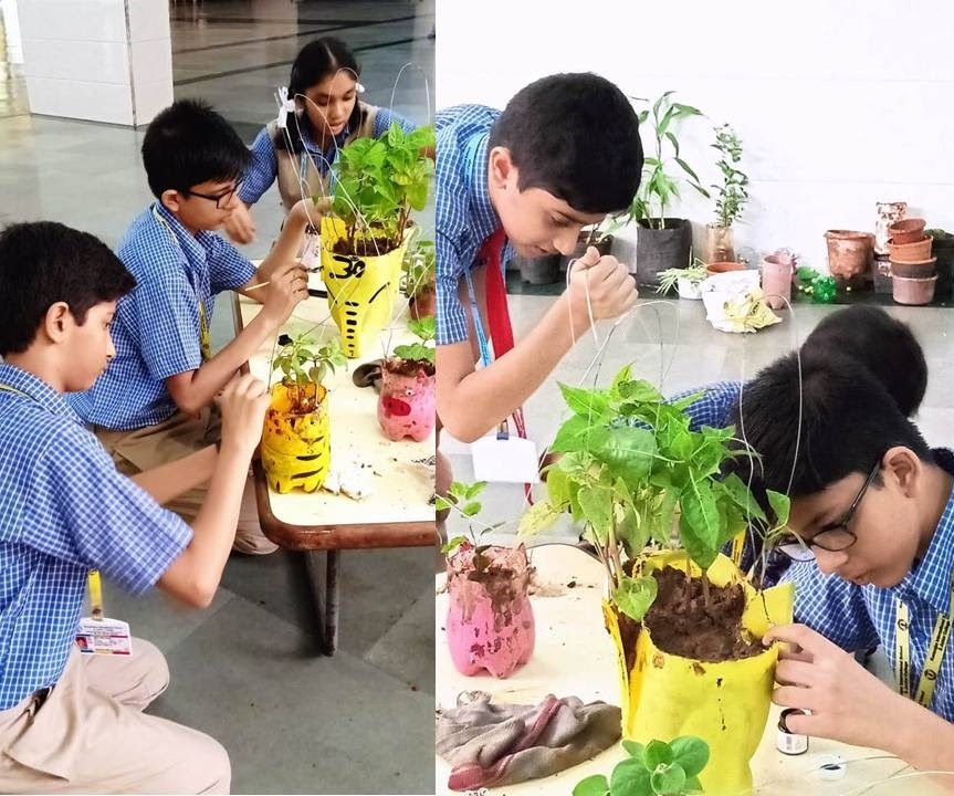 Rustomjee International School And Junior College campus photo 2 of 5 — Dahisar West