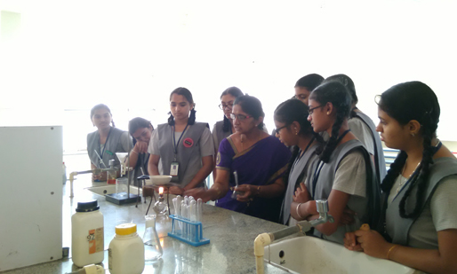 Vijaya Bharathi Vidyalaya campus photo 6 of 8 — Girinagar