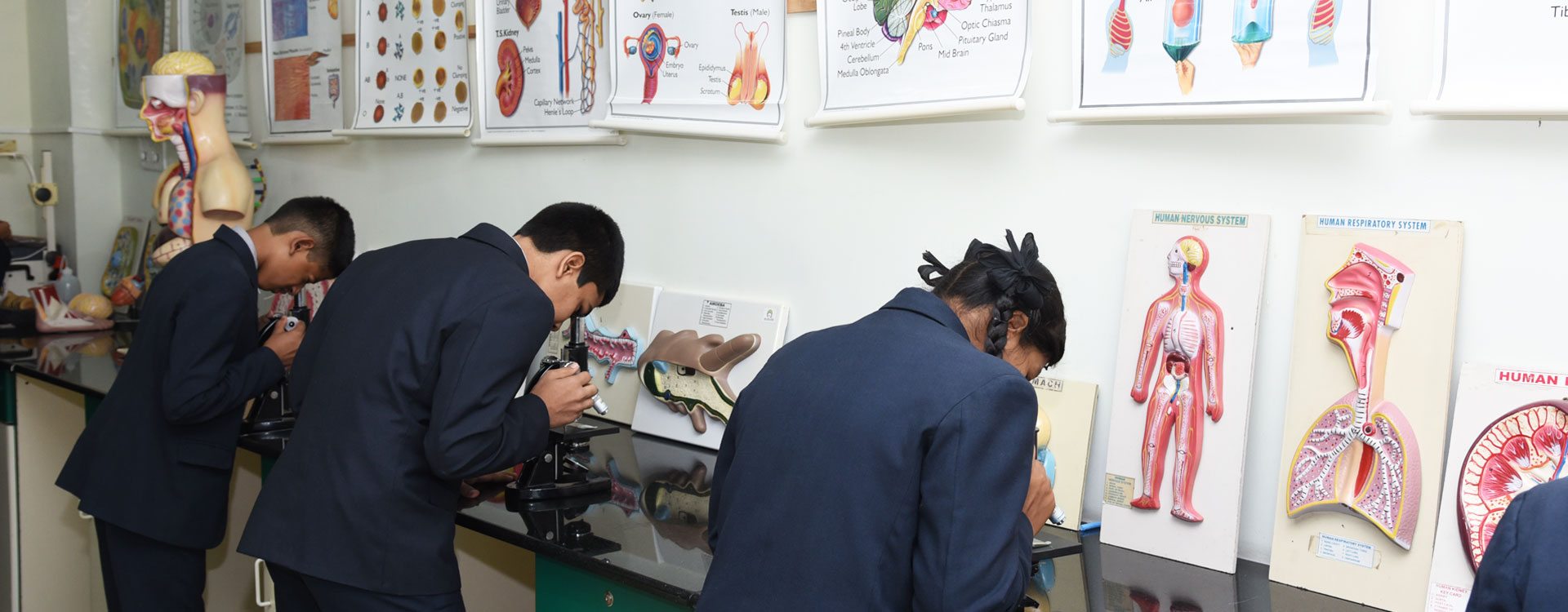 Young Scholars Academy campus photo 4 of 7 — RT Nagar