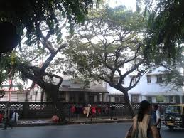 Dr. Antonio da Silva High School & Jr. College Of Commerce campus photo 6 of 7 — Dadar West
