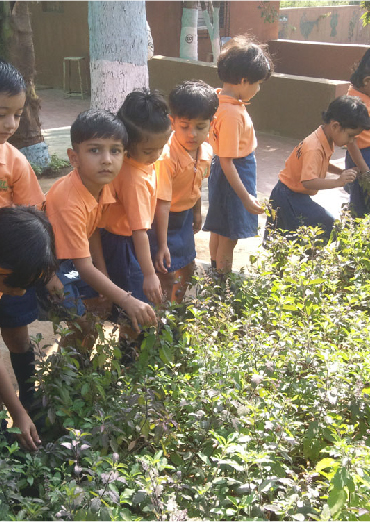 Sanskar Public School campus photo 3 of 4 — Thane West