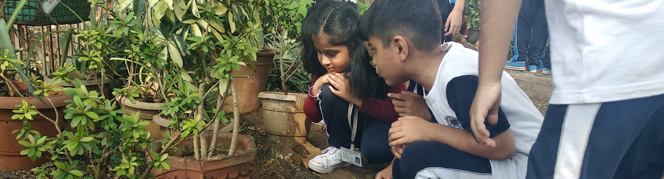 Smt. Sunitidevi Singhania School campus photo 4 of 4 — Thane West