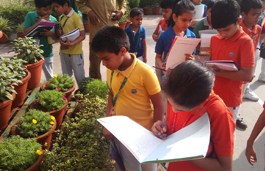 Delhi International School campus photo 3 of 23 — Dwarka