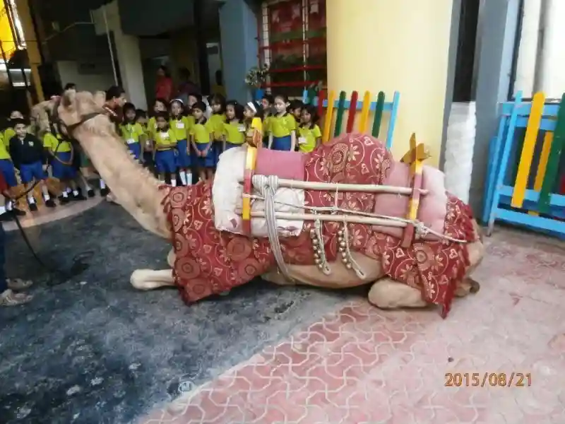 Indira Kids campus photo 14 of 15 — Pimpri Chinchwad