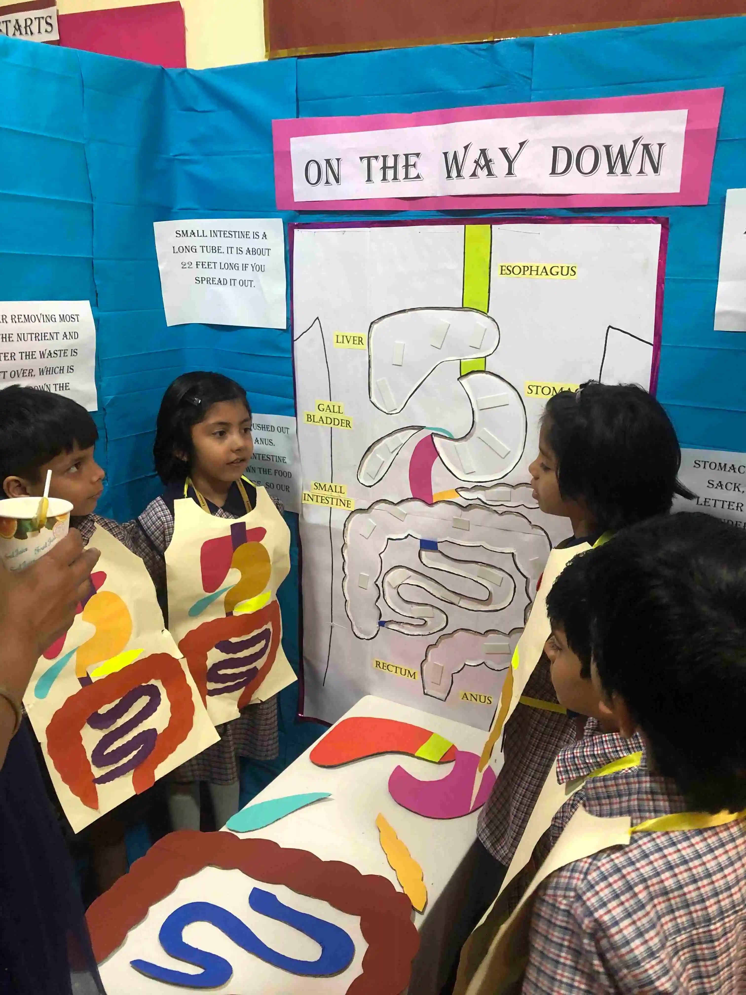 Lexicon Kids campus photo 16 of 19 — Wadgaon Sheri