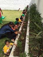 VSPK International School Juniors campus photo 7 of 8 — Pitampura