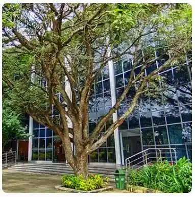 DPS Bangalore West campus photo 7 of 13 — Dasanapura