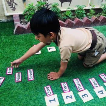 De Indian Public School campus photo 12 of 20 — Ashok Vihar