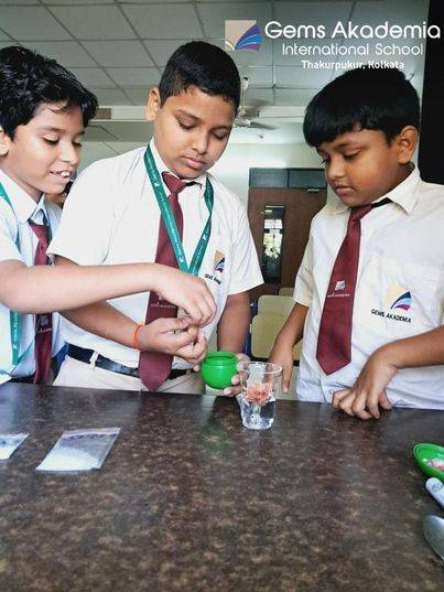 GEMS Akademia International School campus photo 3 of 29 — Thakurpukur