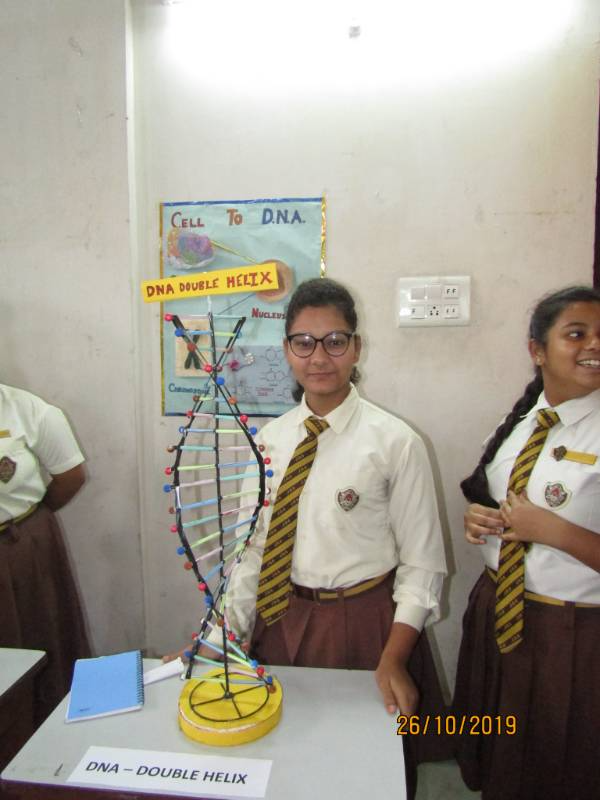 Julien Day School campus photo 12 of 15 — Bhowanipore