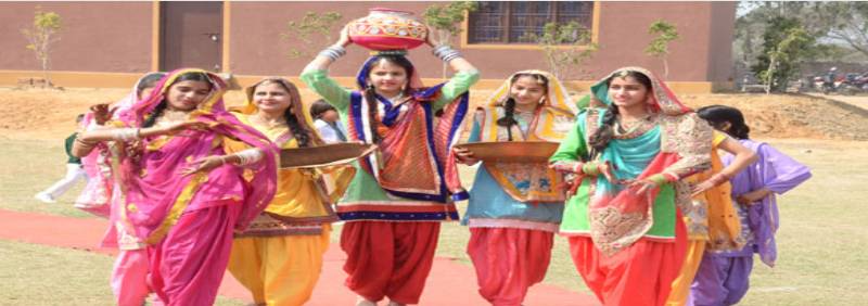 Greenland Public School campus photo 2 of 6 — Dattaur