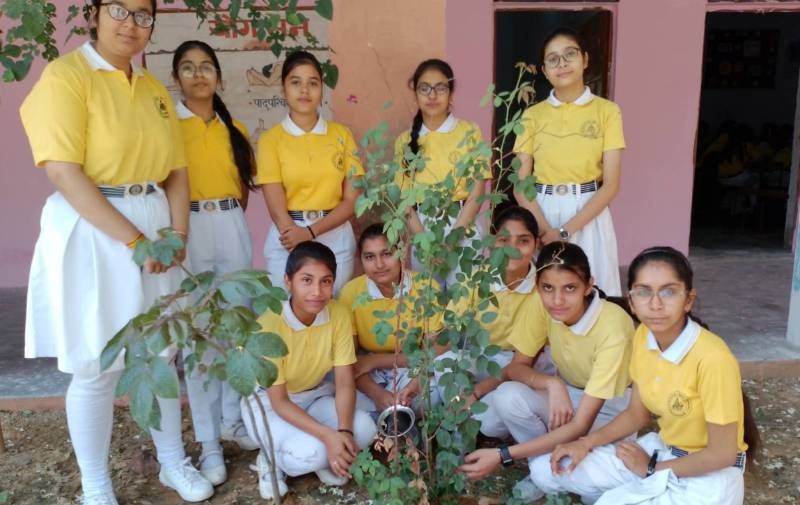 Swami Gurcharan Dass S D Senior Secondary School campus photo 4 of 7 — Kalanaur