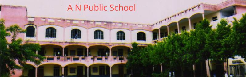 A N Public School campus photo 2 of 7 — Chomu
