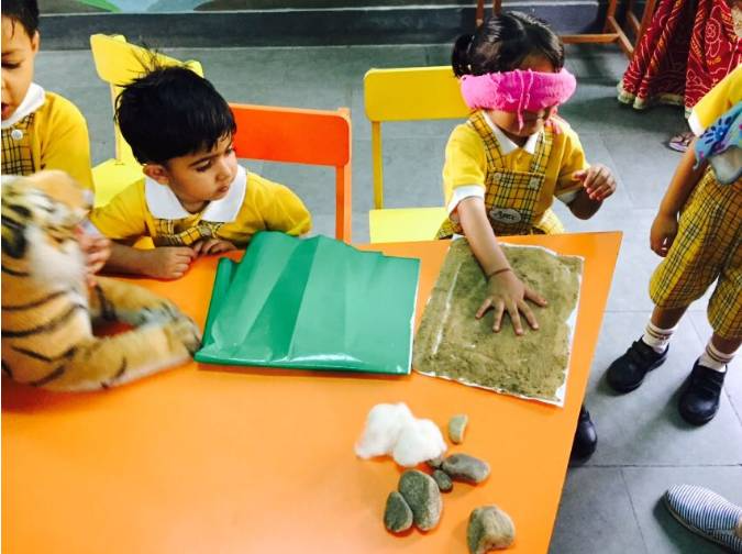 Apex International School campus photo 3 of 11 — Lalkothi