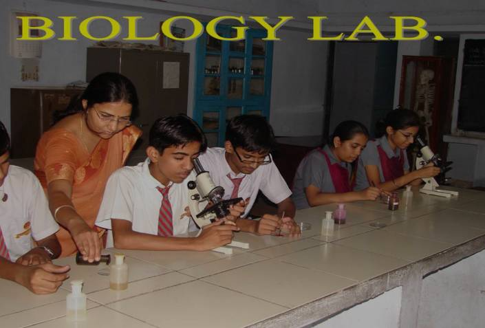 Saint Soldier Public School campus photo 7 of 10 — Pratap Nagar