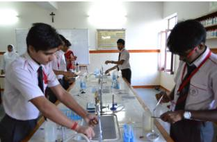 Our Lady Of Pillar Convent School campus photo 13 of 14 — Pal Village
