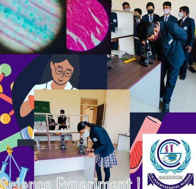 CS International School campus photo 14 of 15 — Gottigere