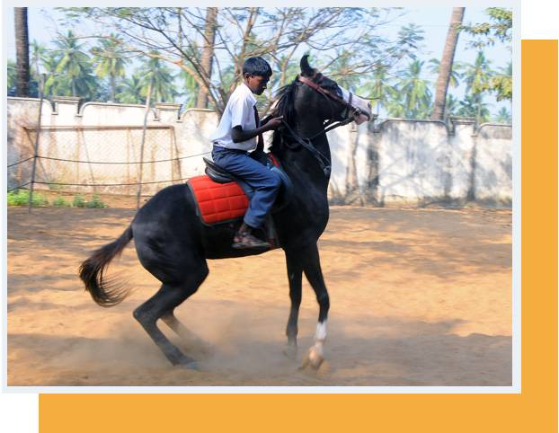 Bharatiya Vidya Bhavans International Residential Public School campus photo 13 of 13 — West Godavari