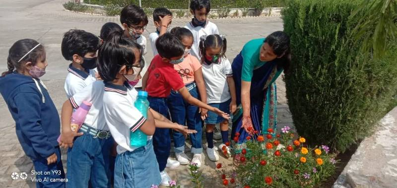 Singhania Global Academy campus photo 2 of 4 — Sikar