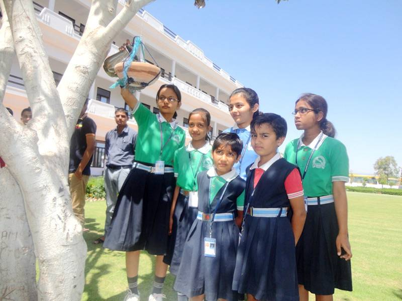 Swami Keshwanand Shikshan Sansthan Sr Sec School campus photo 2 of 6 — Sikar
