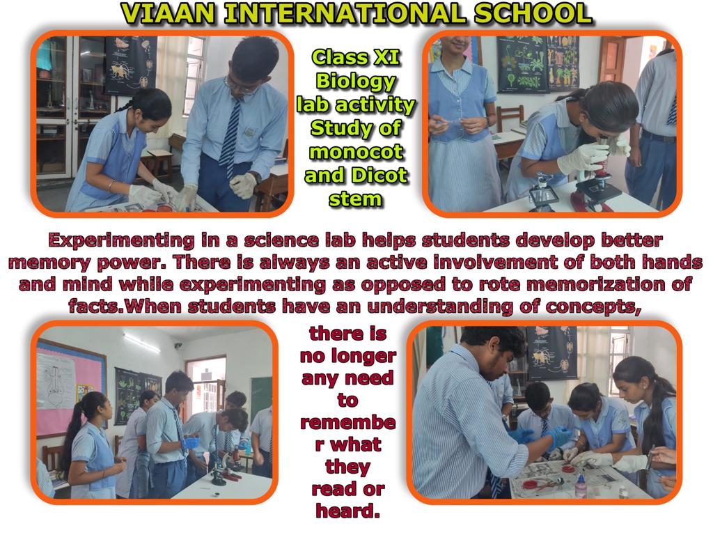 Viaan International School campus photo 4 of 13 — Preet Vihar
