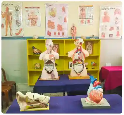 Vidyasagar Public School campus photo 11 of 12 — Chandra Layout