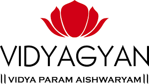Vidyagyan logo