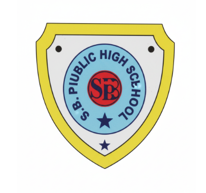 SB Public School logo