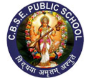 C.B.Sec.Edu. Public School logo
