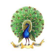 Mayoor School Jaipur logo
