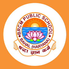 BRCM Public School logo