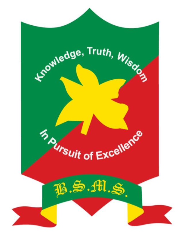 B. S. Memorial School logo