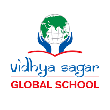 Vidhya Sagar Global School logo