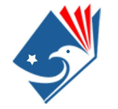 Shaheen's Falcon PU College
 logo