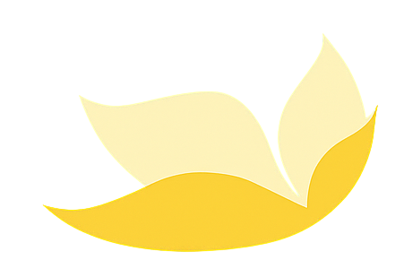 TLC Montessori Preschool logo