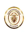 Carmel Convent School logo