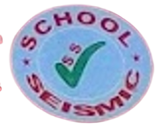 Seismic School logo