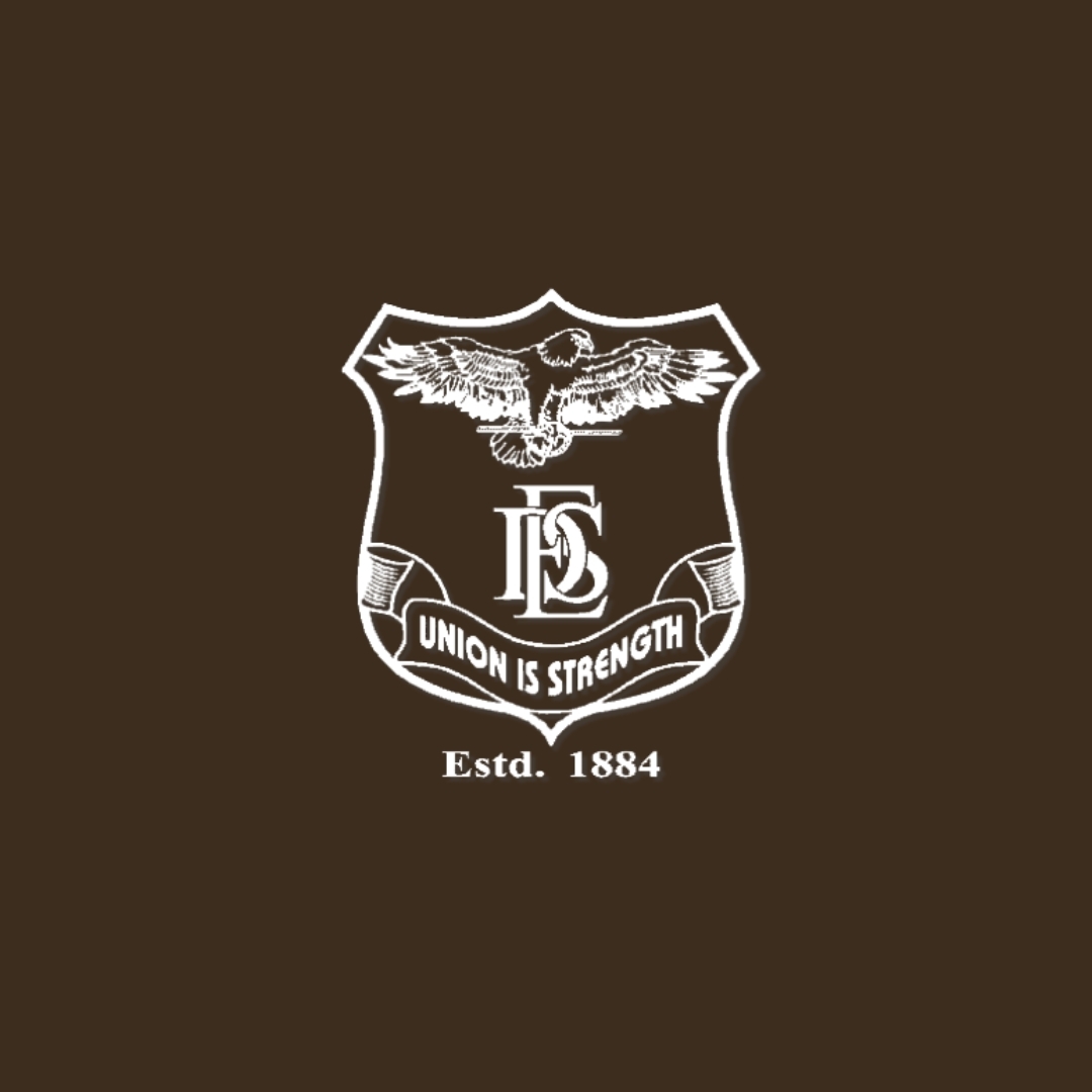DES School logo