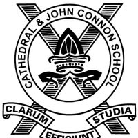 The Cathedral Vidya School logo