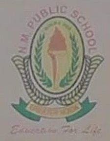 National Modern Public School logo